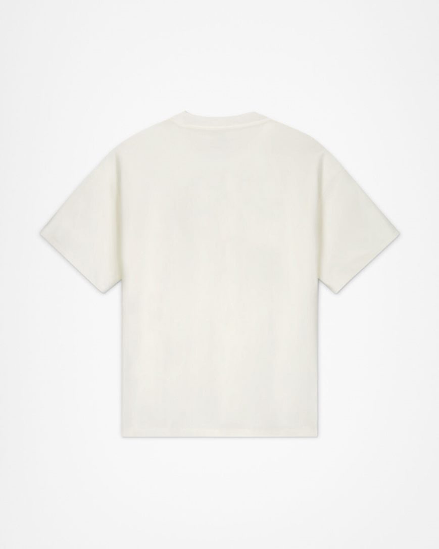 Men's Converse Draymond Green Player T-Shirts Beige | AU 365E4P
